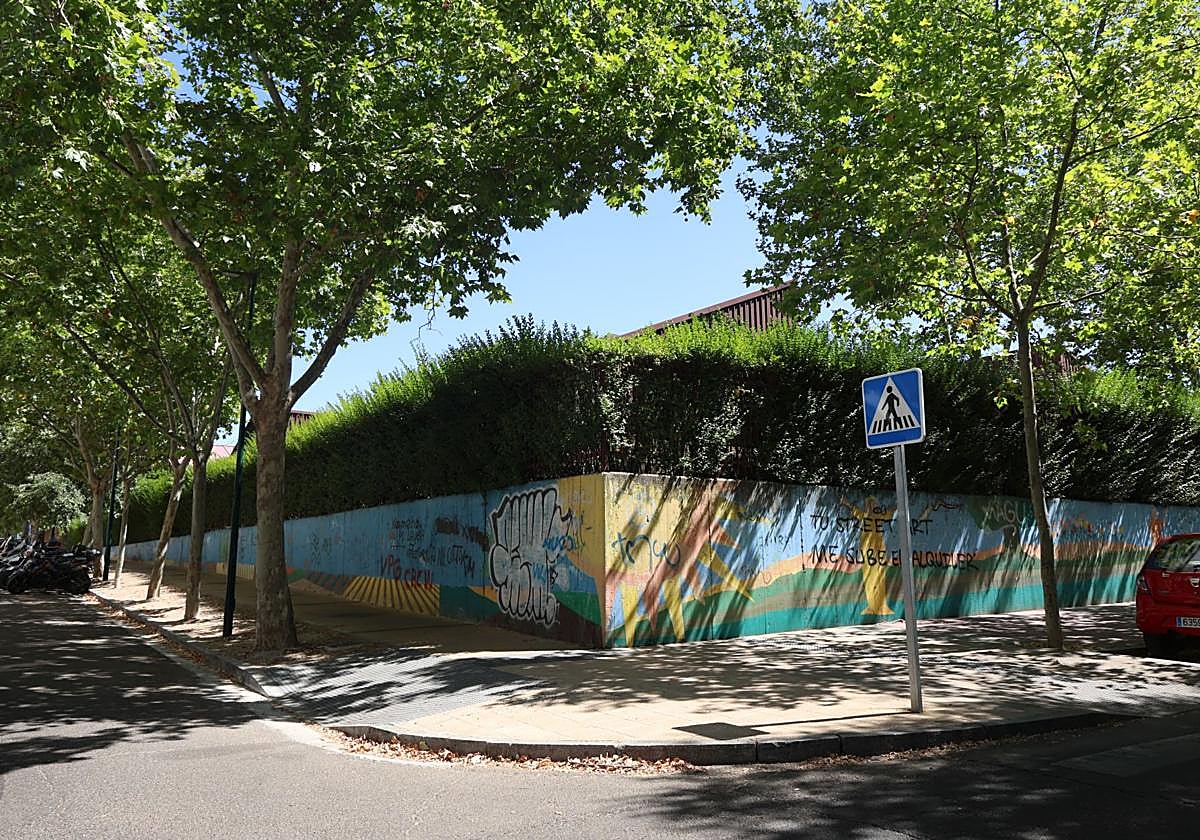 Centro de Atención a Personas con Discapacidad Intelectual de Valladolid, en la calle Pajarillos.