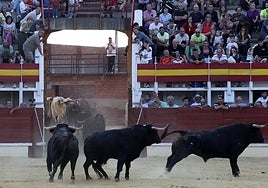 Varios astados entran a los corrales de la plaza tras salir del camión.