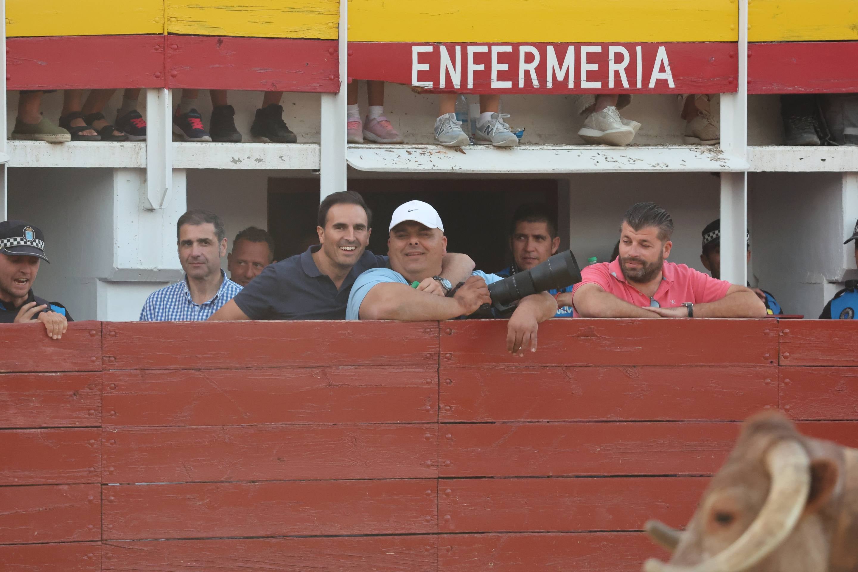 El encierro de bueyes y el desenjaule de novillos de Medina del Campo, en imágenes