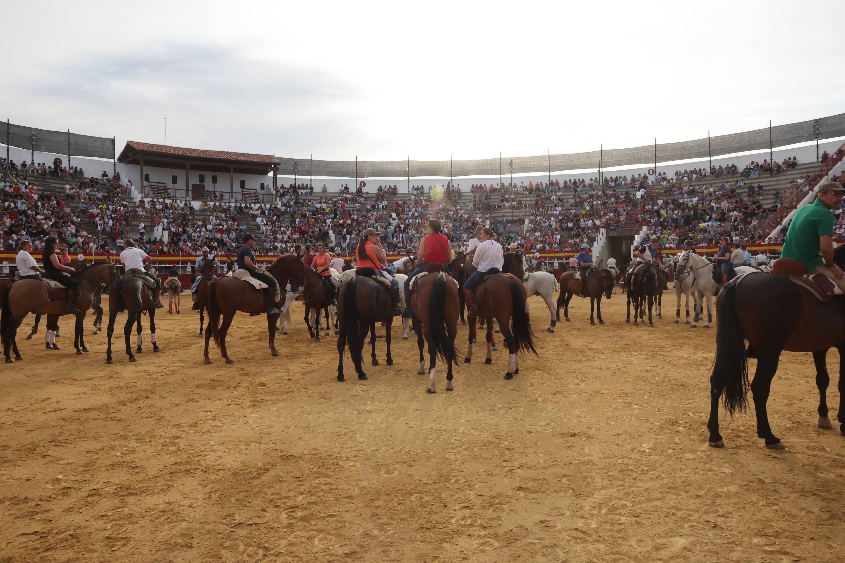El encierro de bueyes y el desenjaule de novillos de Medina del Campo, en imágenes