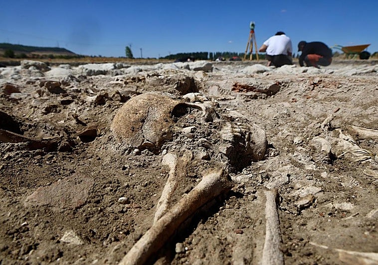 Uno de los restos encontrados en el yacimiento de Las Calaveras.