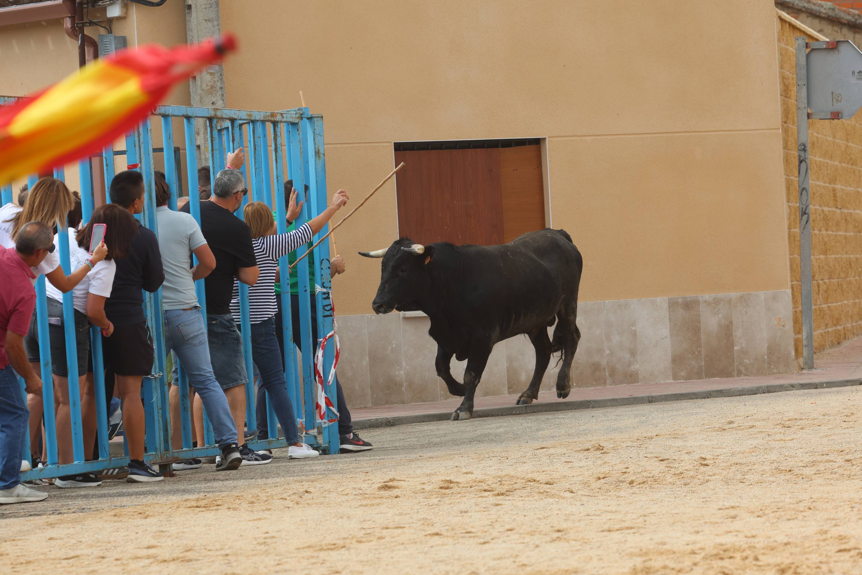 Las imágenes del encierro en Fresno el Viejo