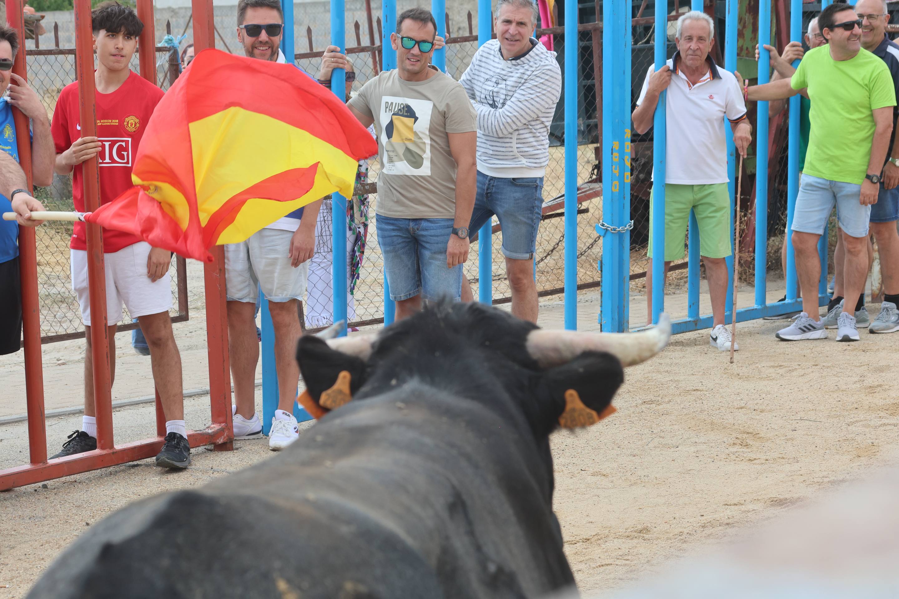 Las imágenes del encierro en Fresno el Viejo