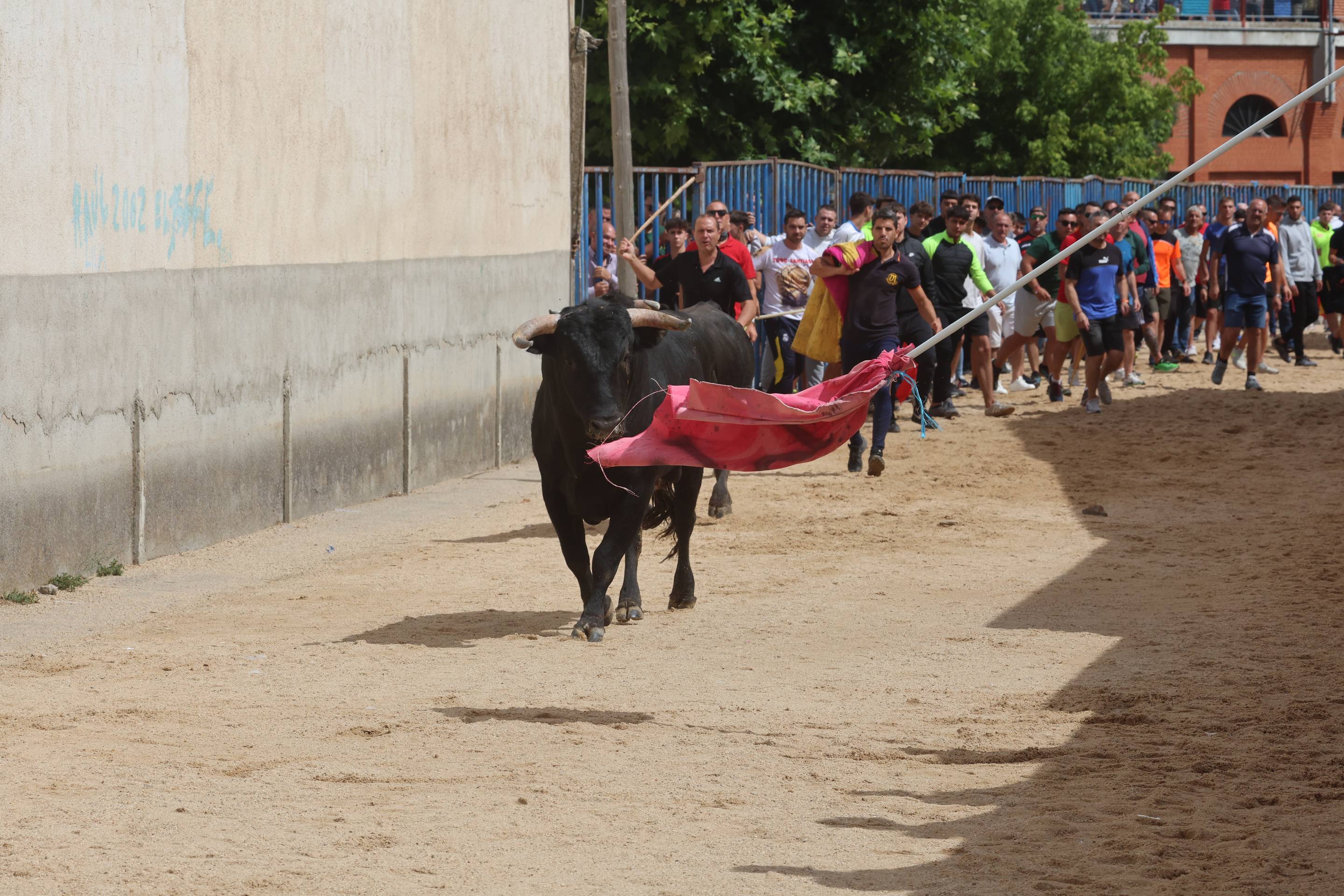 Las imágenes del encierro en Fresno el Viejo