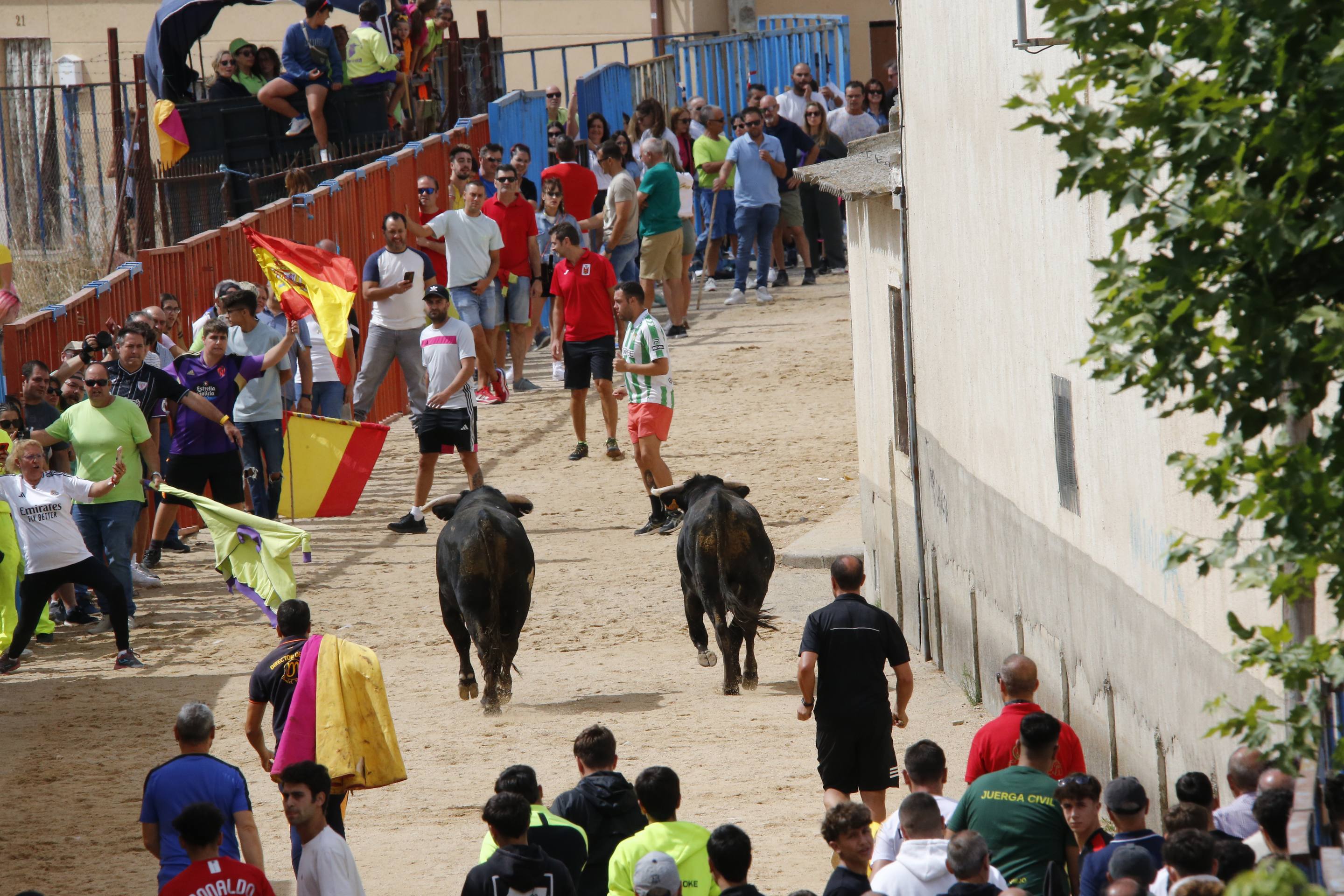 Las imágenes del encierro en Fresno el Viejo