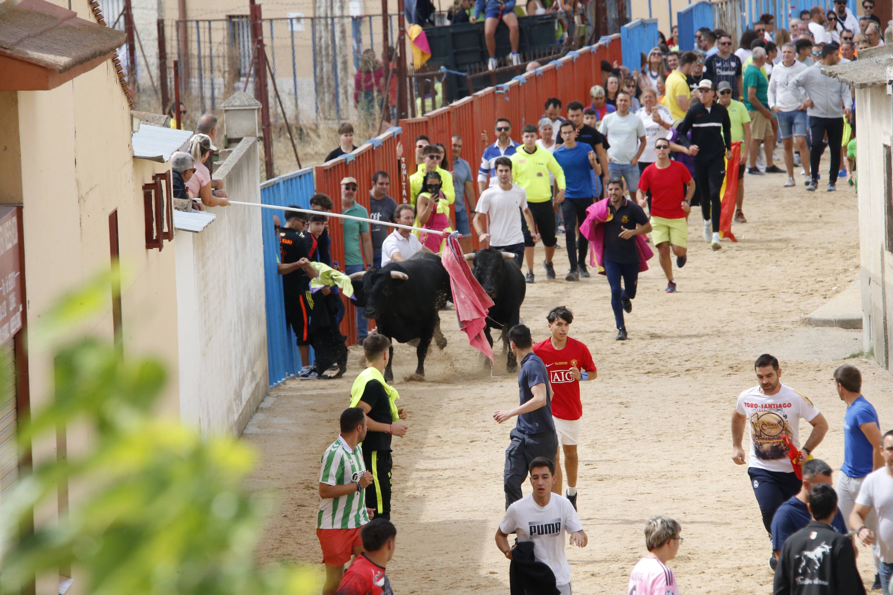 Las imágenes del encierro en Fresno el Viejo