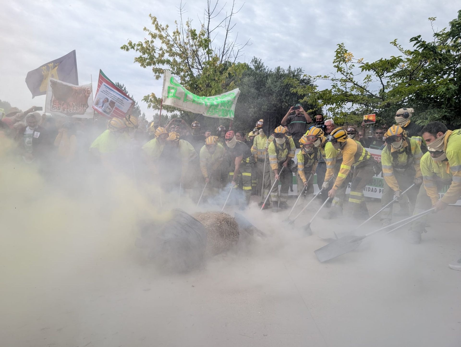 Las imágenes de la concentración en las Cortes en protesta por la gestión de los incendios forestales