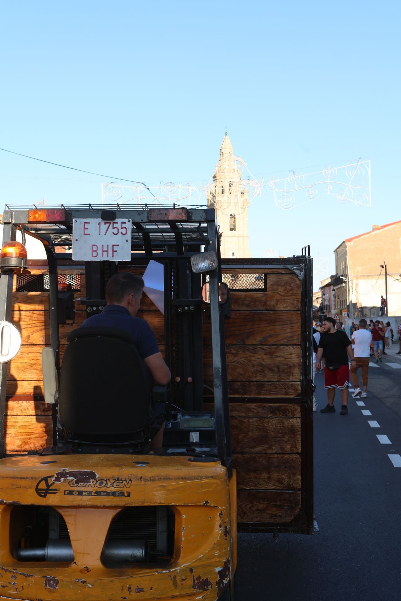 Las imágenes del Toro de la Nava
