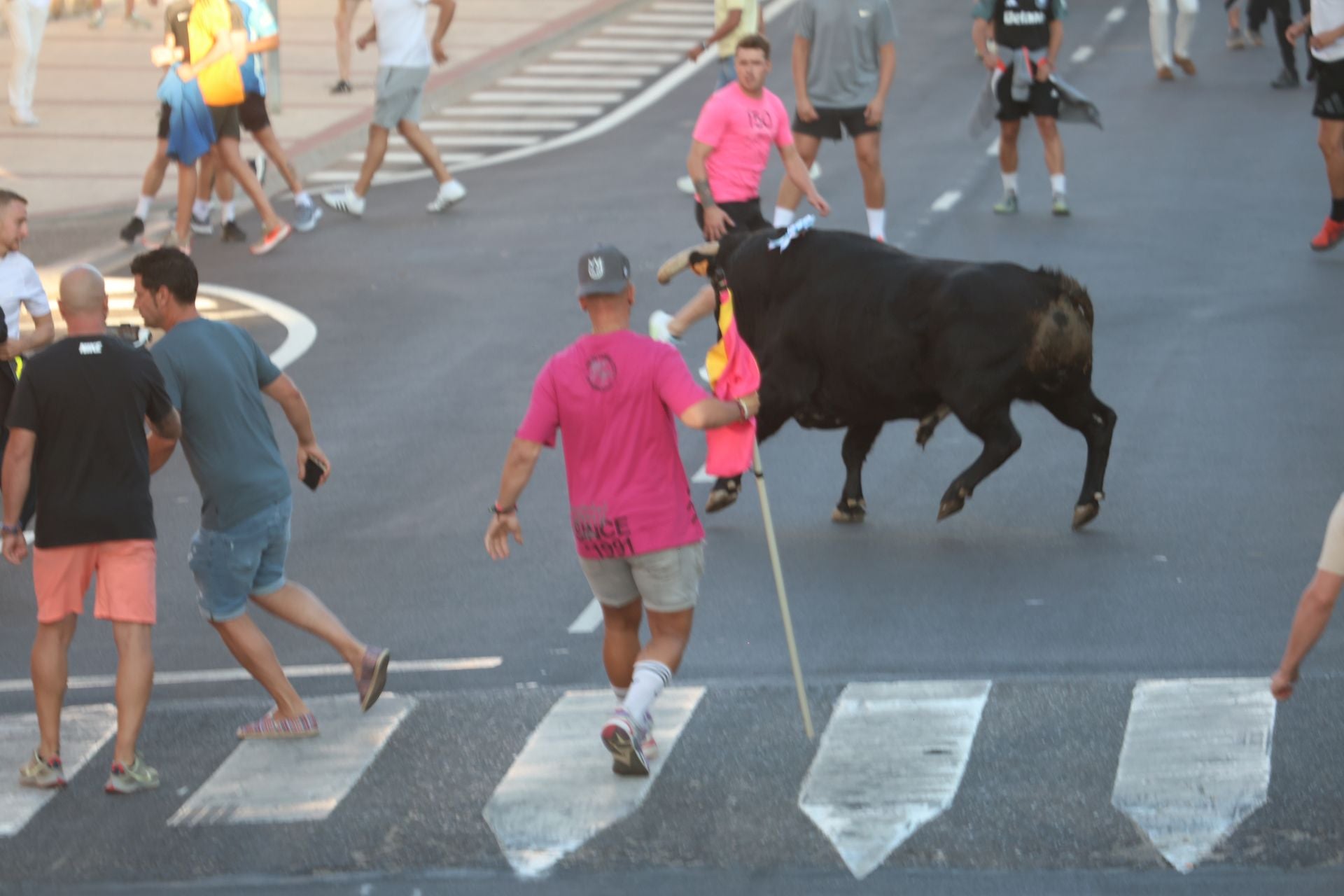 Las imágenes del Toro de la Nava