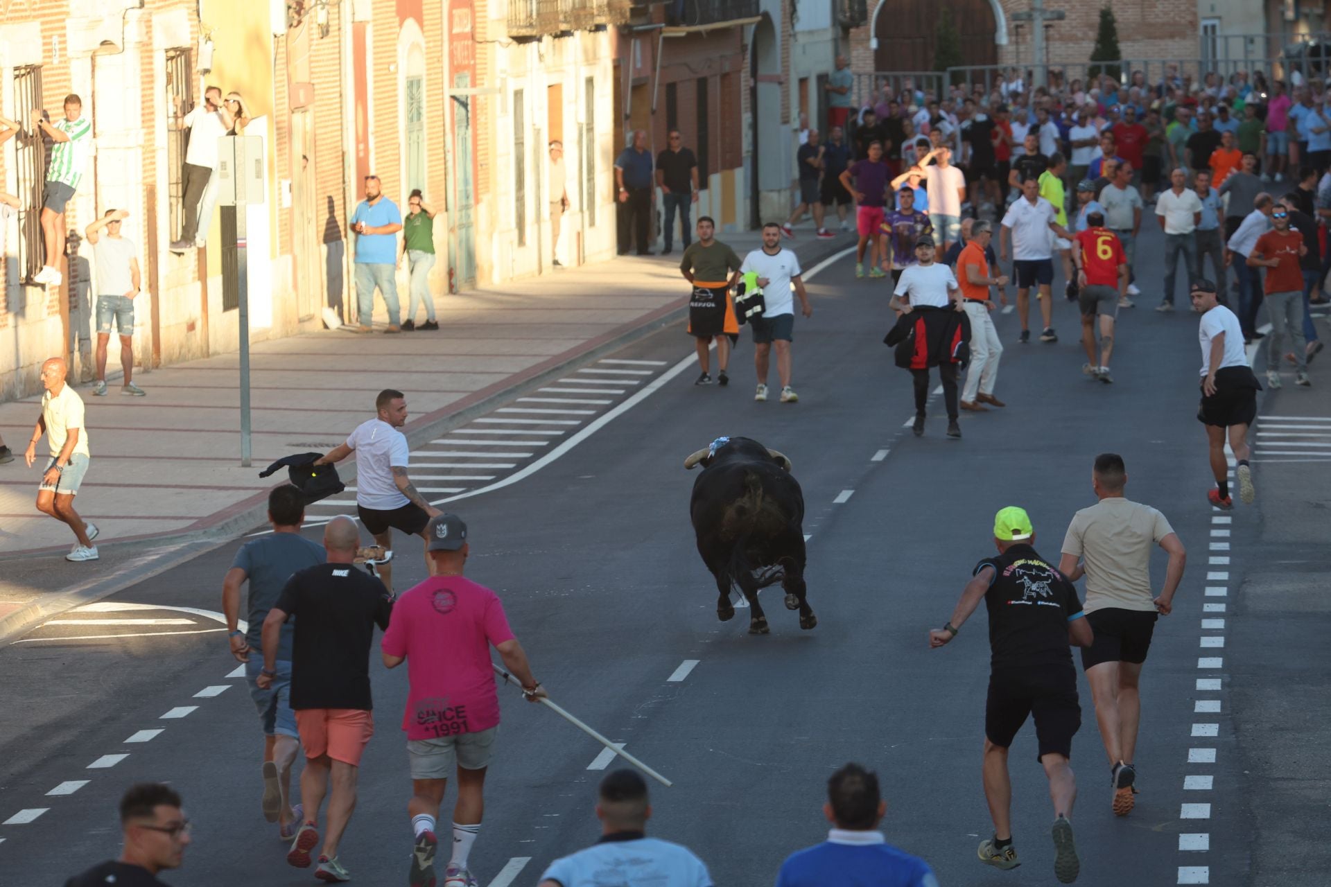 Las imágenes del Toro de la Nava