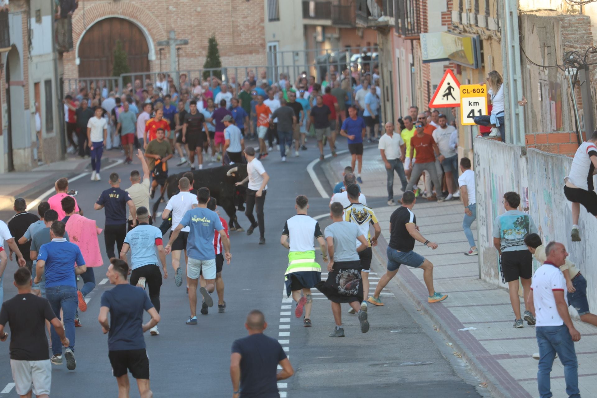 Las imágenes del Toro de la Nava