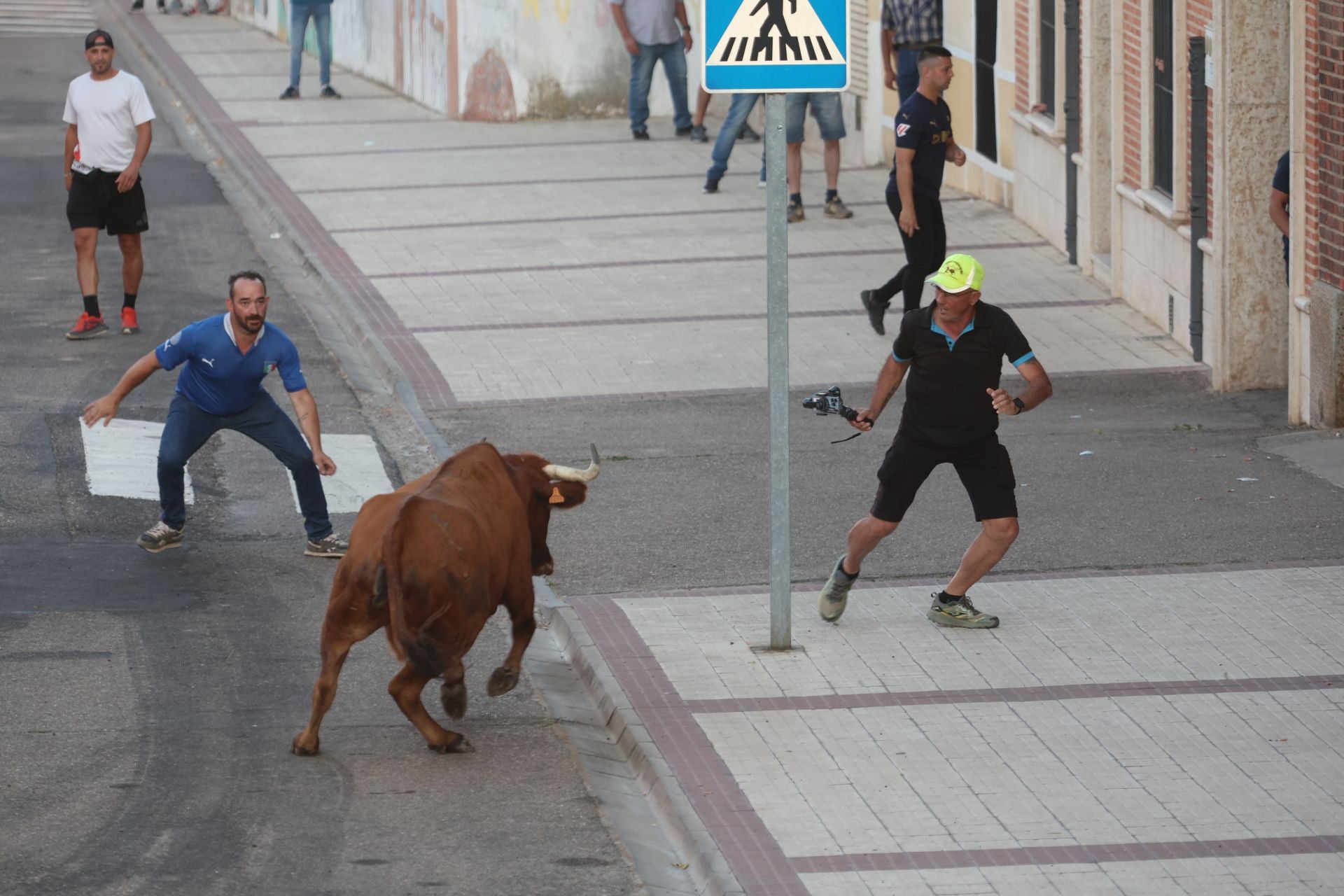 Las imágenes del Toro de la Nava
