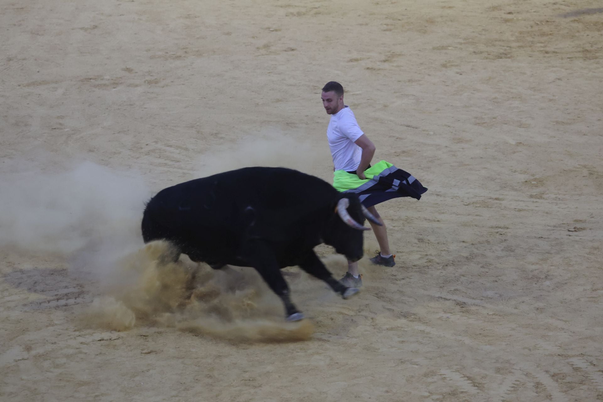 Las imágenes del Toro de la Nava