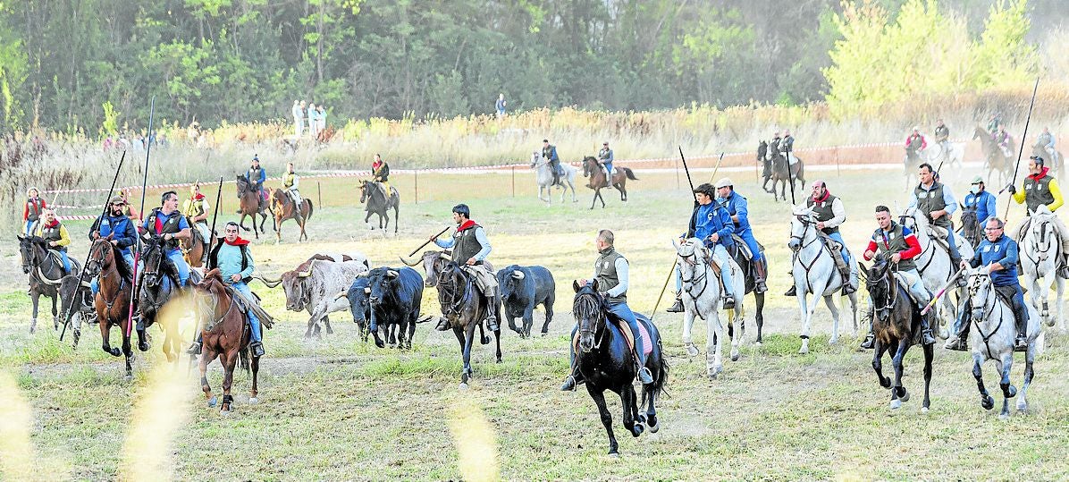 Encierros de Cuéllar en 2024.