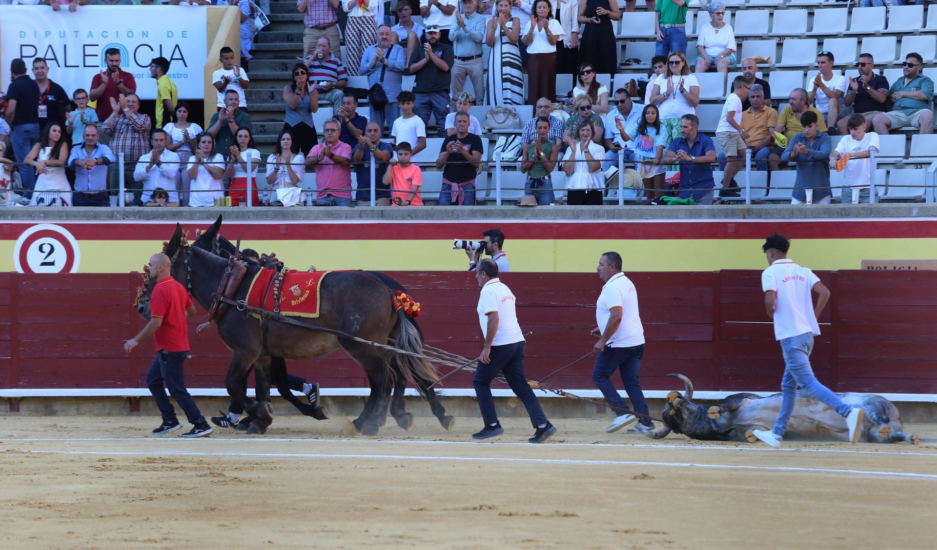 Primera corrida de abono en Palencia