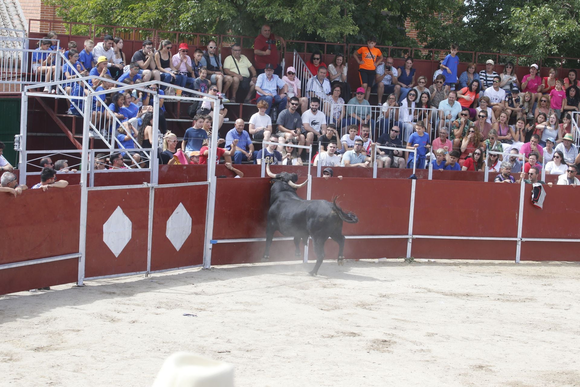 Encierro del sábado por la mañana en Ataquines