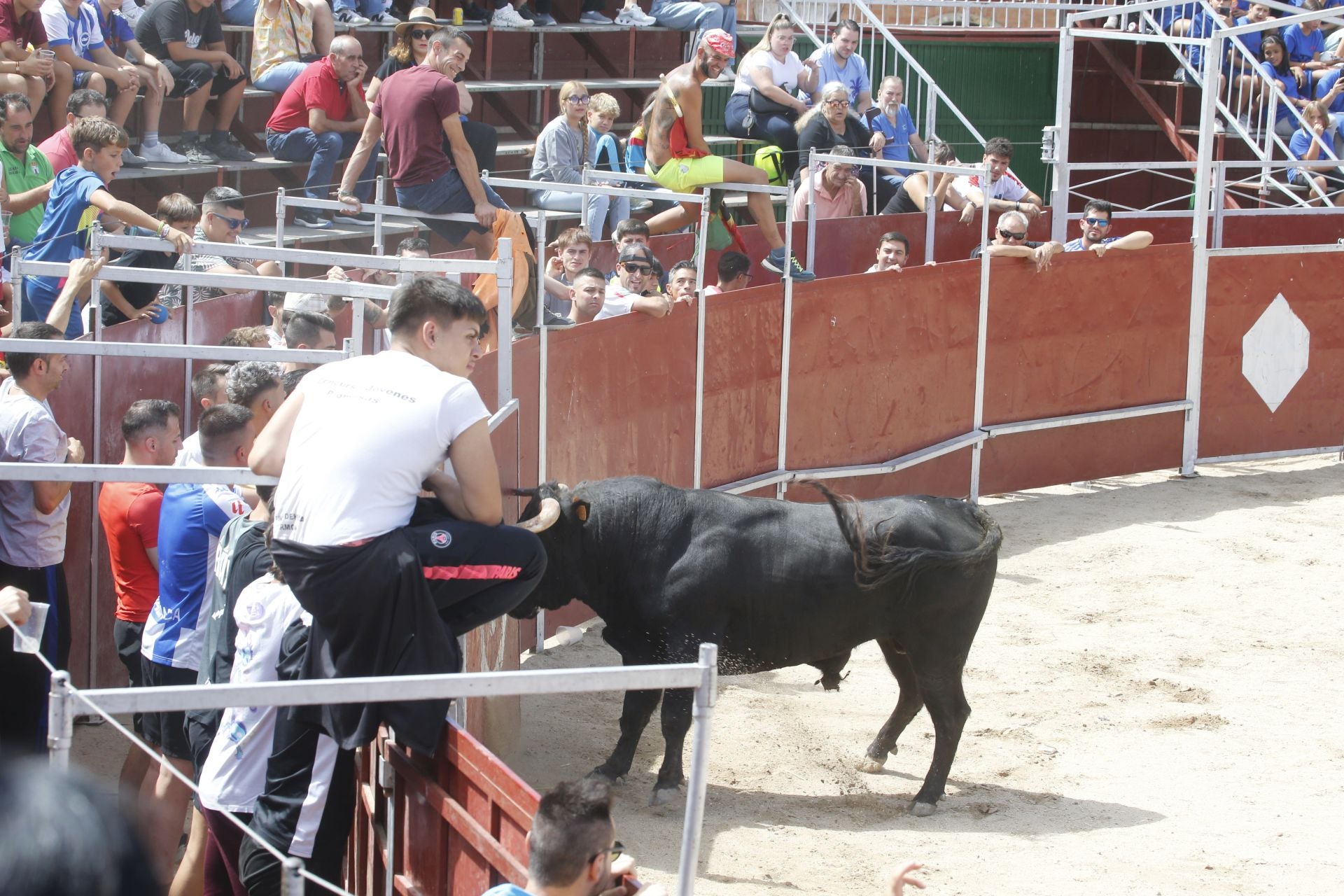 Encierro del sábado por la mañana en Ataquines