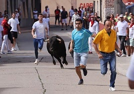Encierro del sábado por la mañana en Pedrajas de San Esteban
