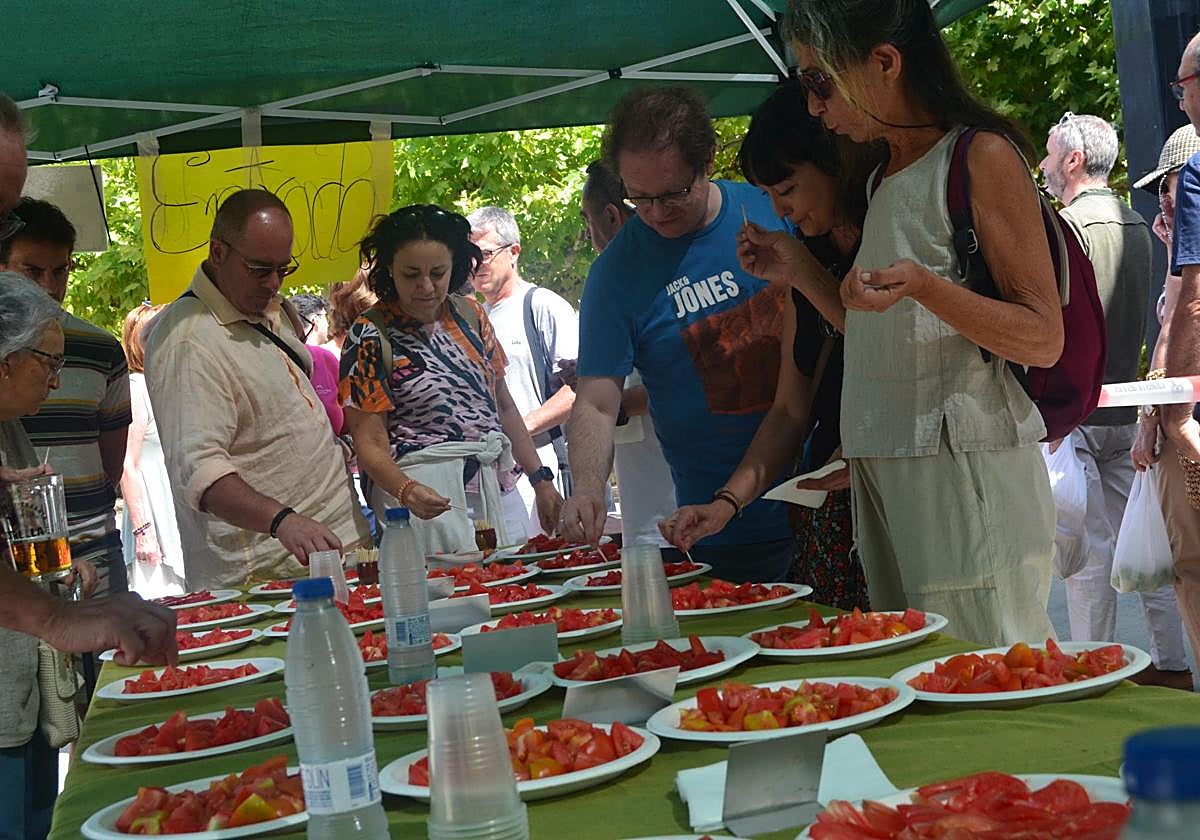 Platos listos para degustar tomate.