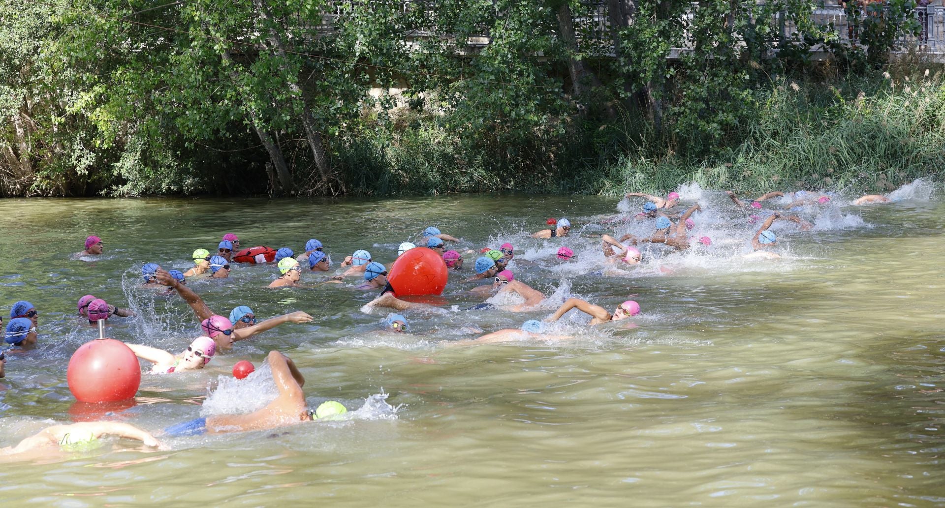 La Travesía a Nado del Carrión, en imágenes