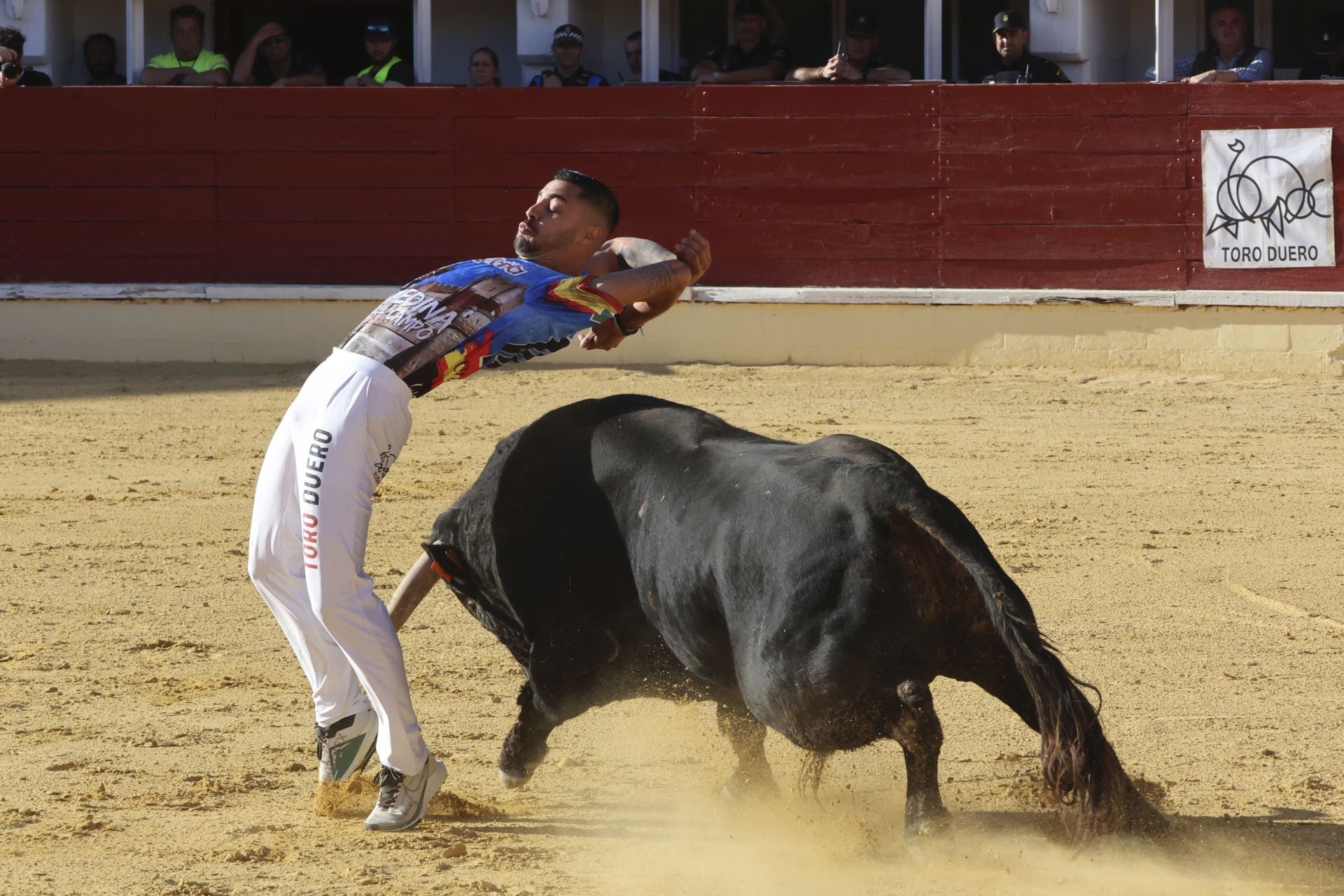 Las imágenes del concurso de cortes en Medina del Campo