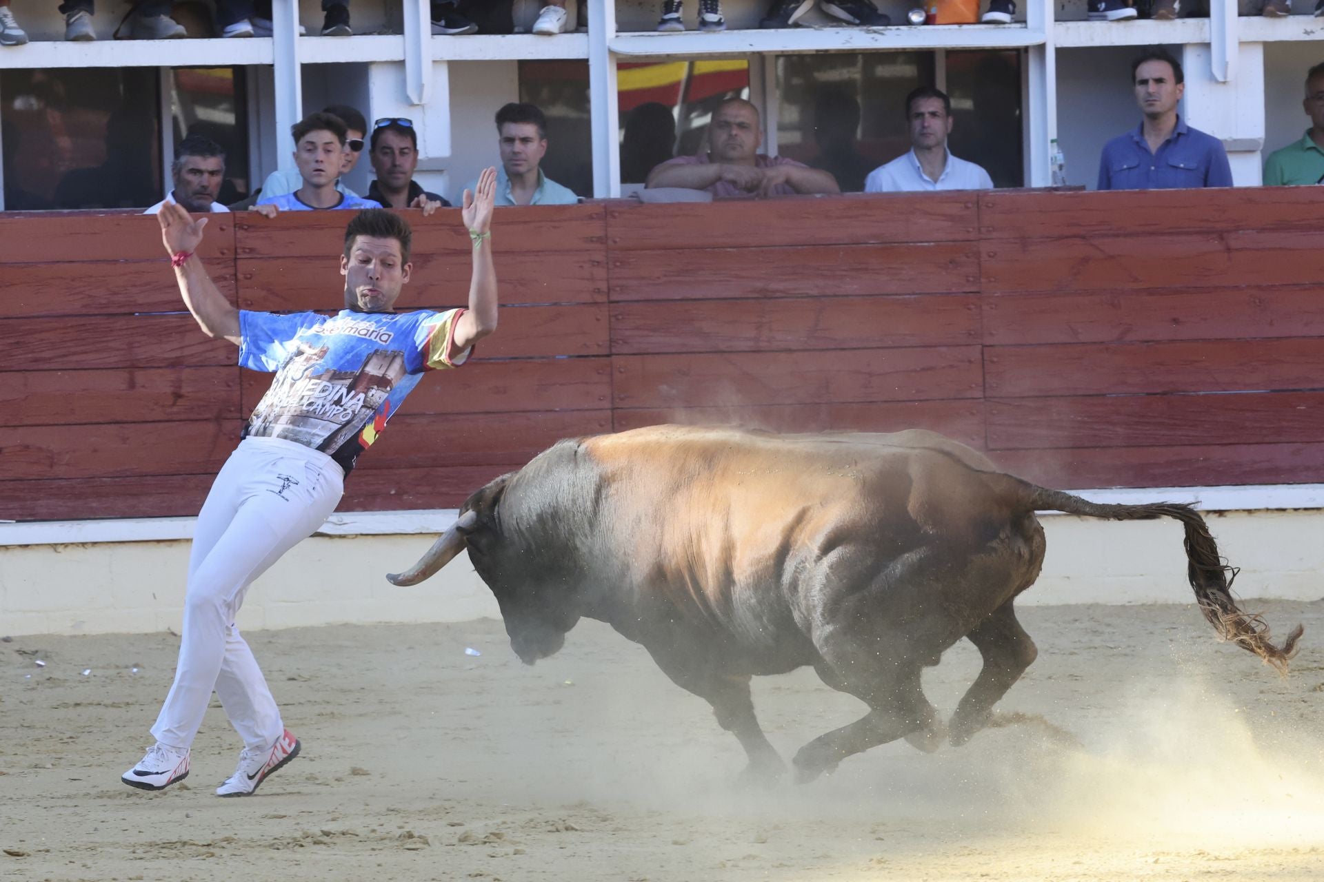 Las imágenes del concurso de cortes en Medina del Campo