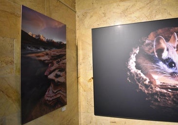 Así es la muestra 'Montaña Palentina' del fotógrafo Juan Pixelecta