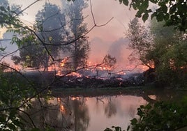 Las llamas se quedaron a un kilómetro de la central hidroeléctrica.