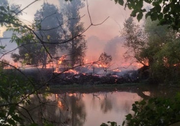 Un incendio en Pesquera calcina parte de la ribera del río, cerca de la central hidroeléctrica