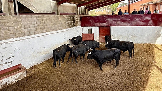Sorteo de los toros para la corrida de rejones de Palencia