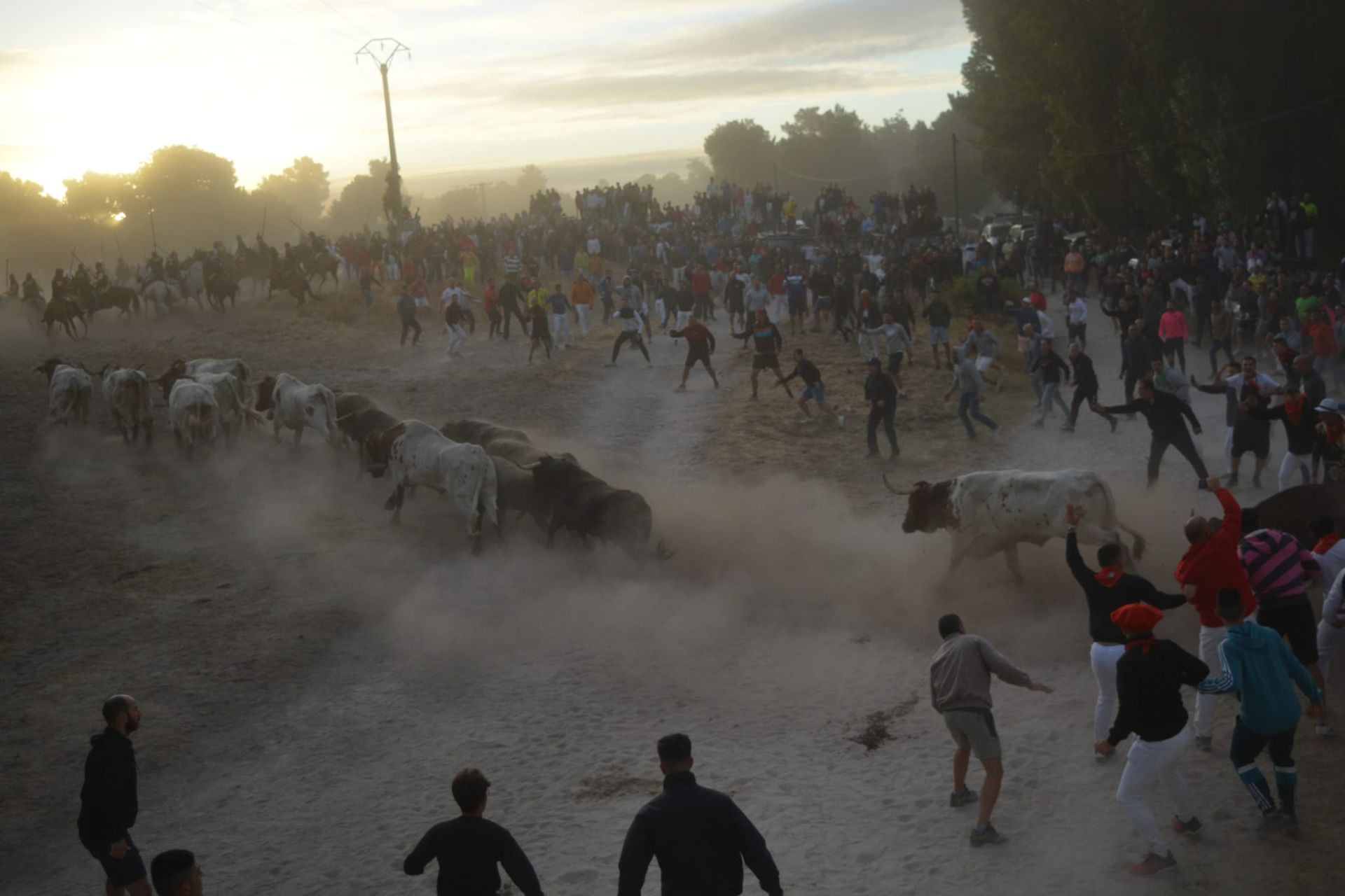 Fotos del tramo por el campo del primer encierro de Cuéllar