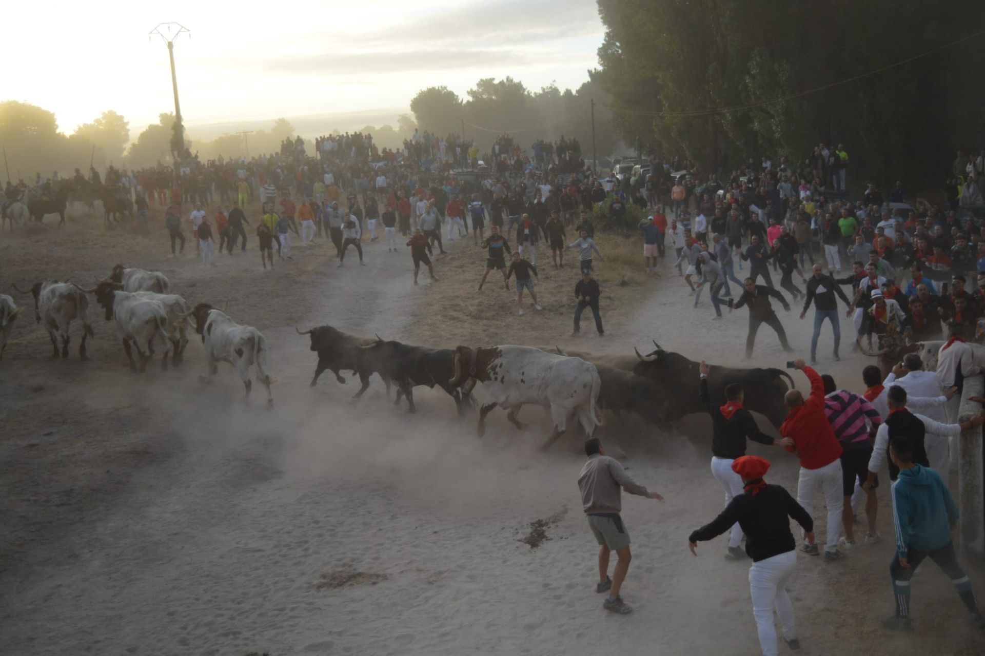 Fotos del tramo por el campo del primer encierro de Cuéllar