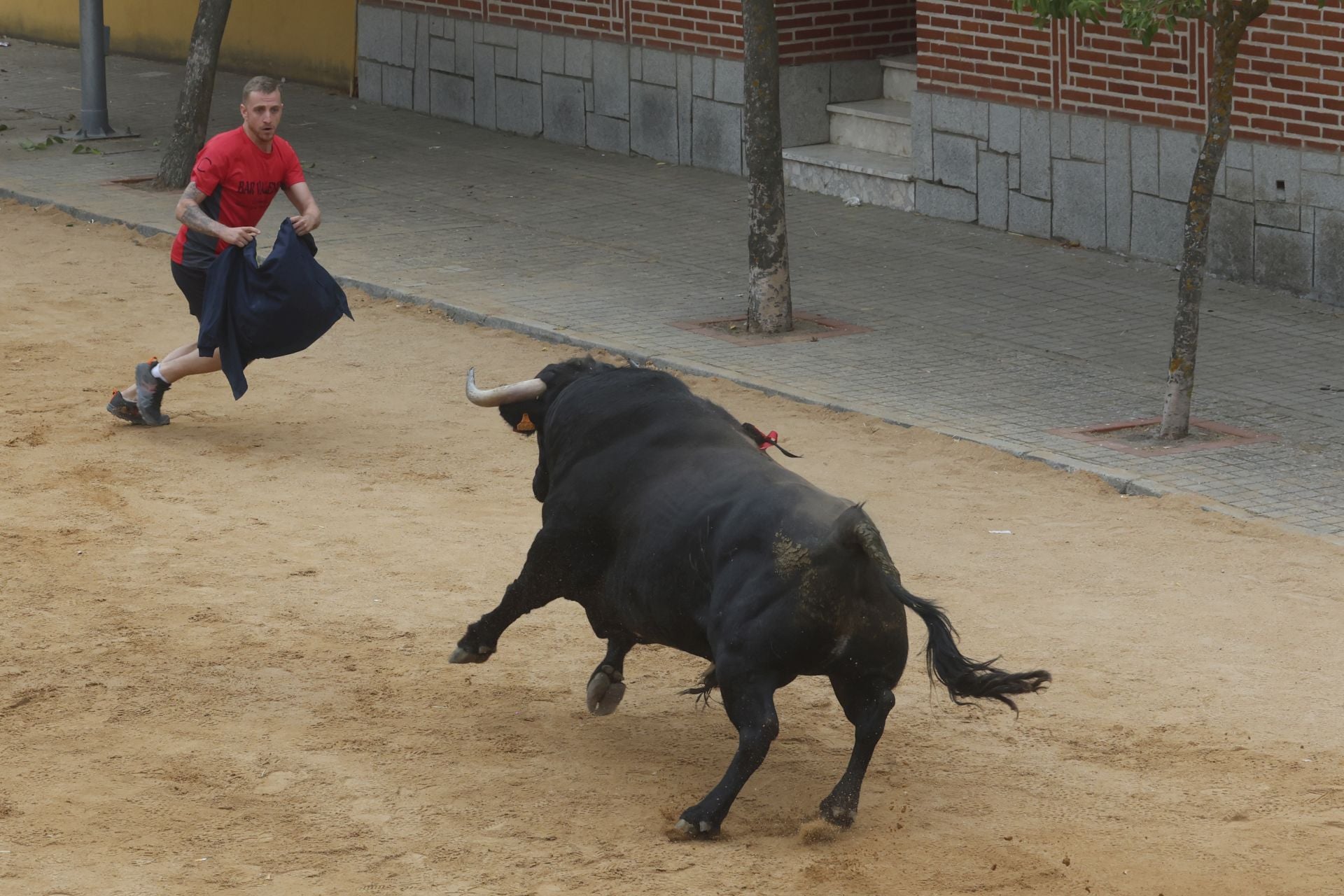 Encierro del domingo en Ataquines