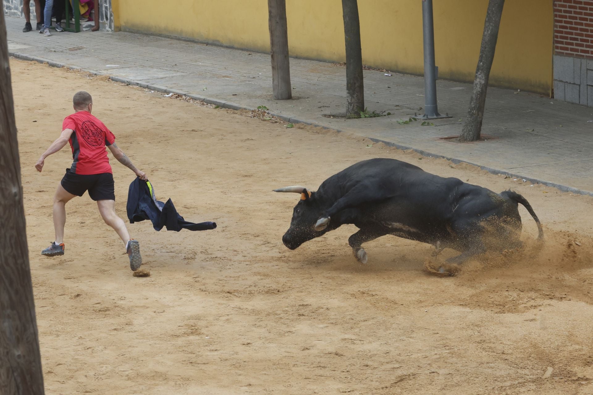 Encierro del domingo en Ataquines