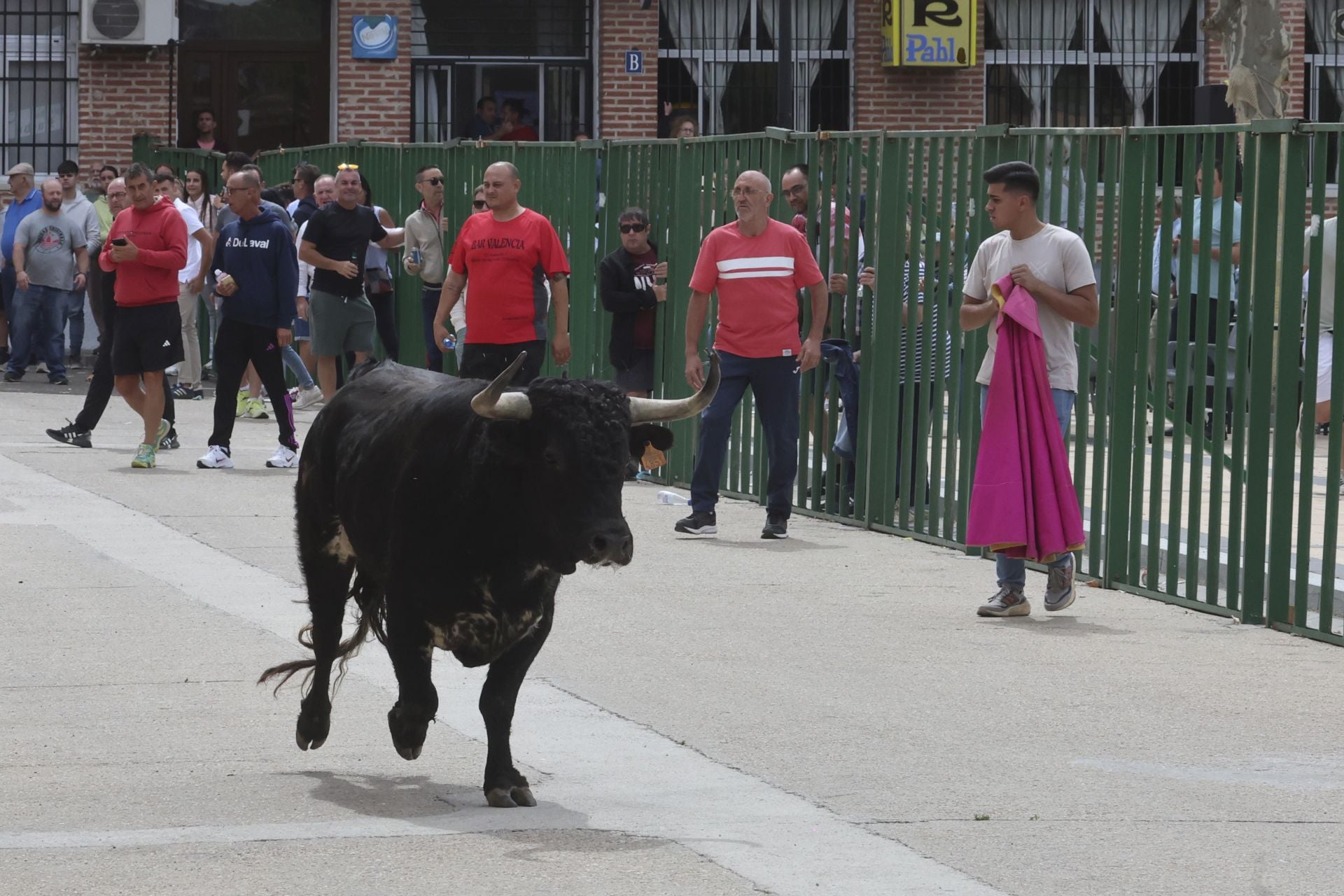 Encierro del domingo en Ataquines