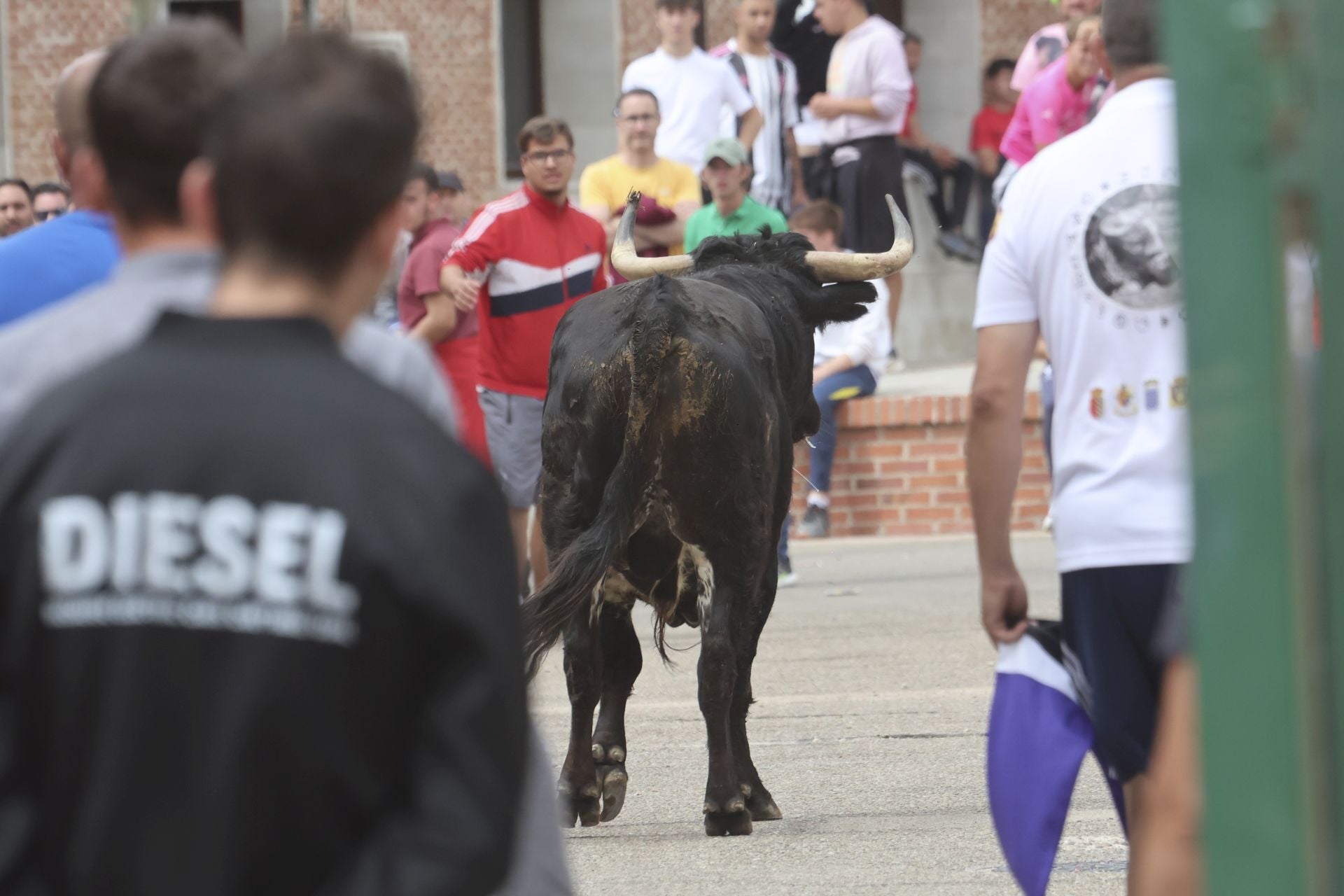 Encierro del domingo en Ataquines