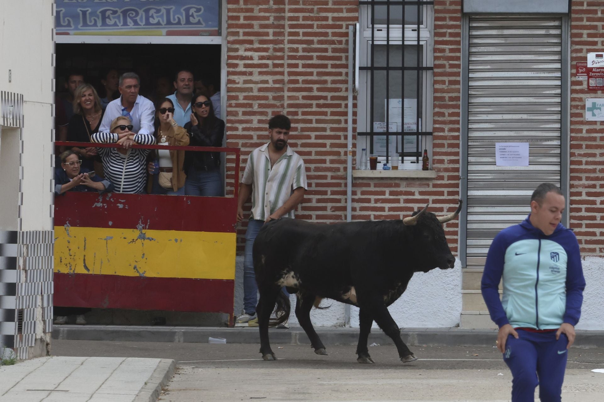 Encierro del domingo en Ataquines