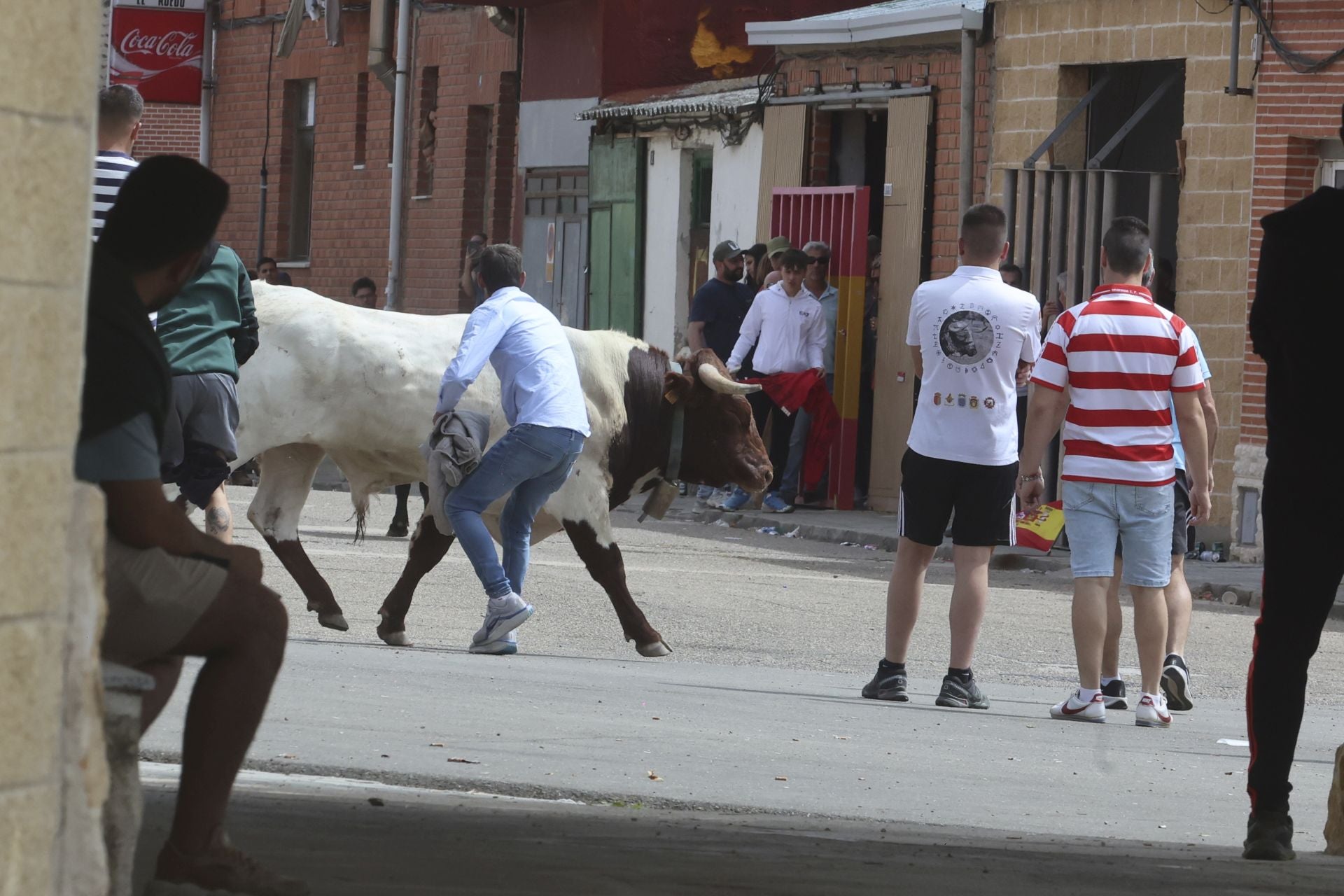 Encierro del domingo en Ataquines