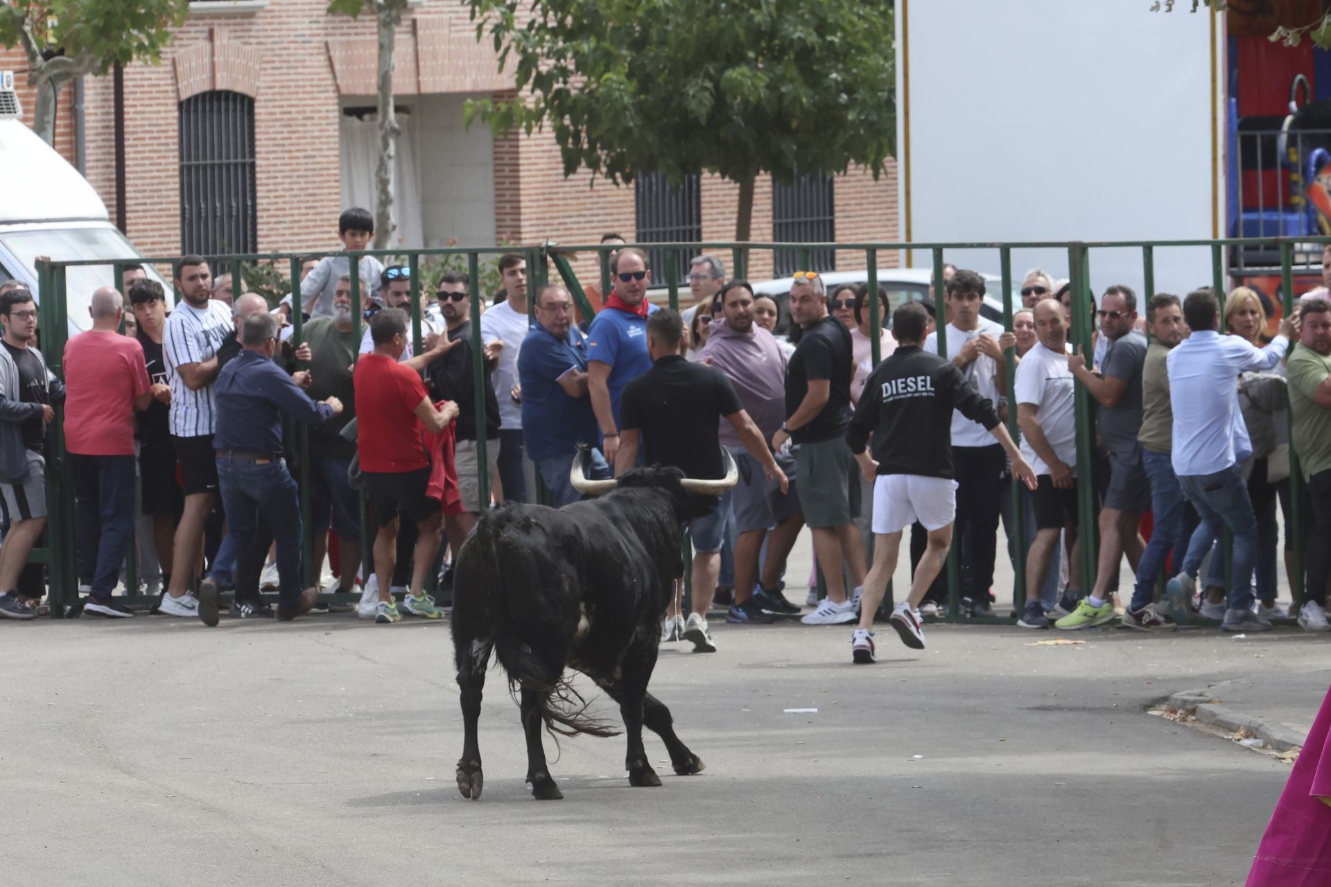 Encierro del domingo en Ataquines