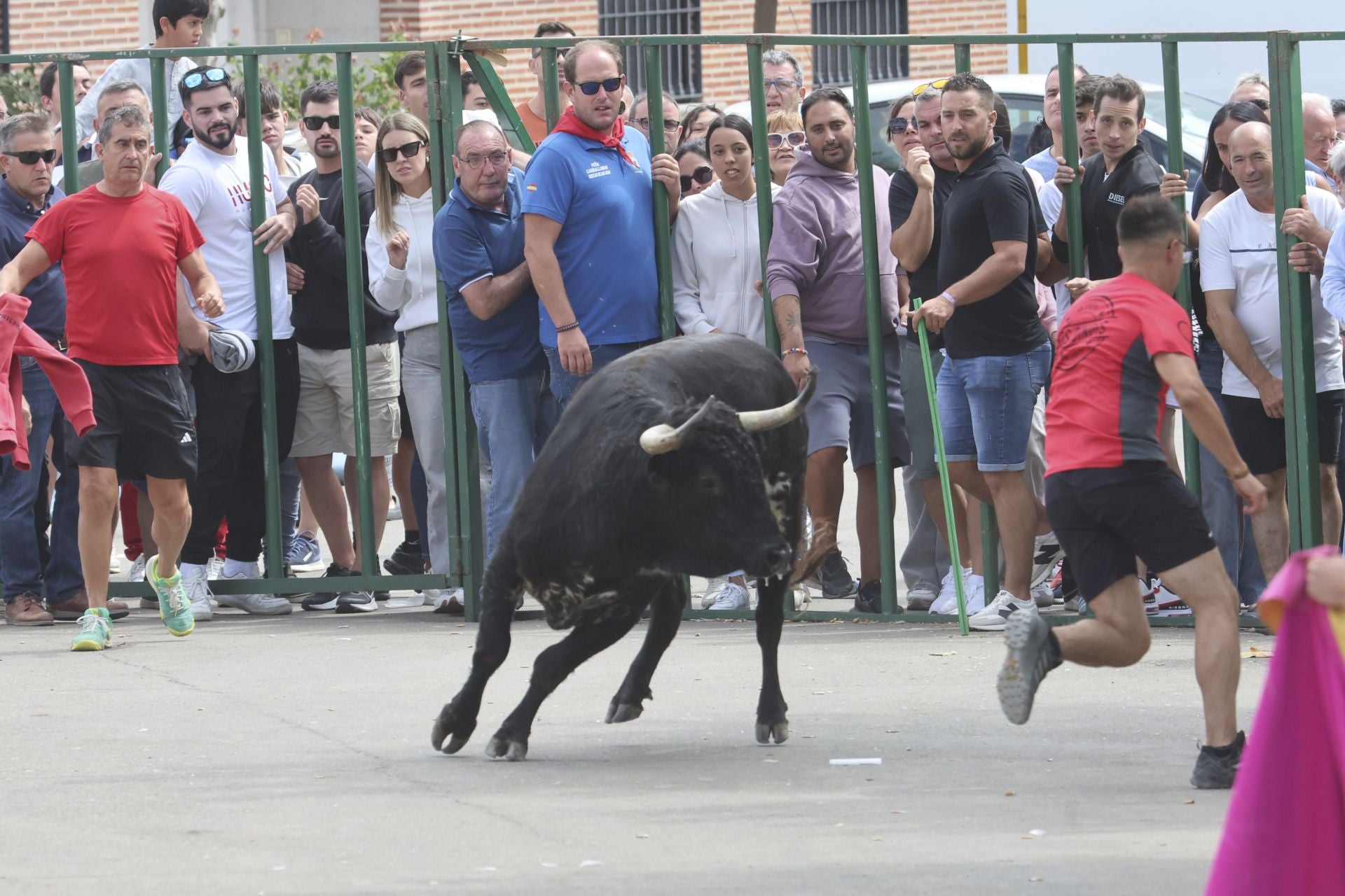 Encierro del domingo en Ataquines