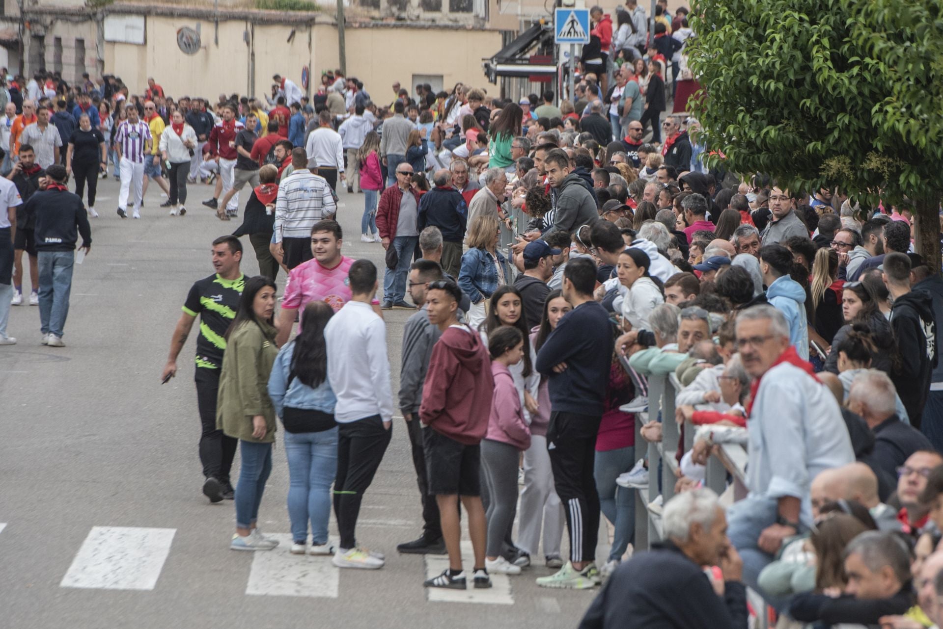 Fotos del ambiente en Cuéllar durante el primero de sus encierros