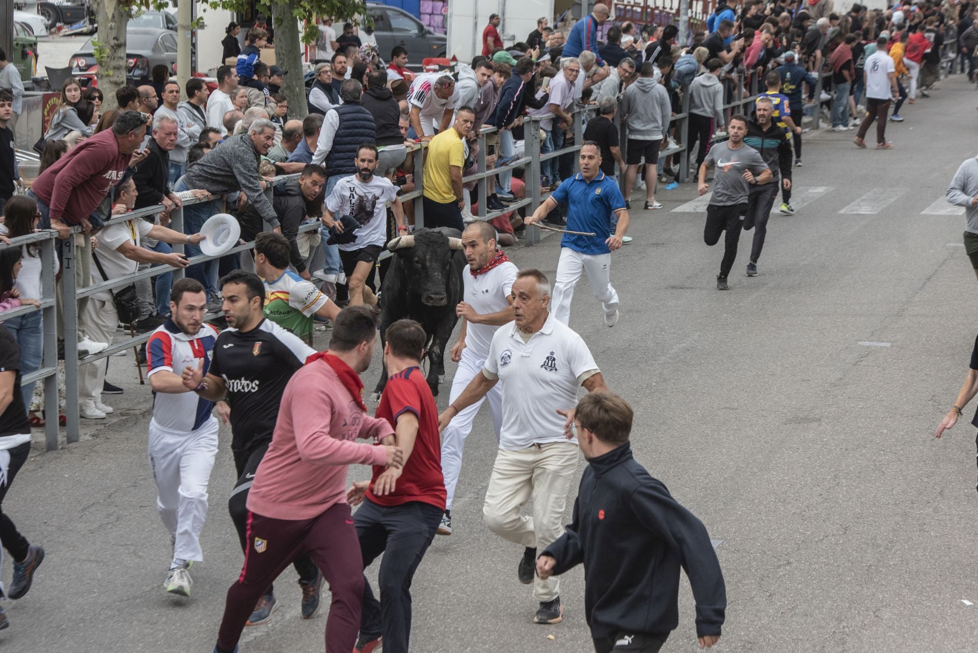 Fotos del tramo urbano del primer encierro de Cuéllar