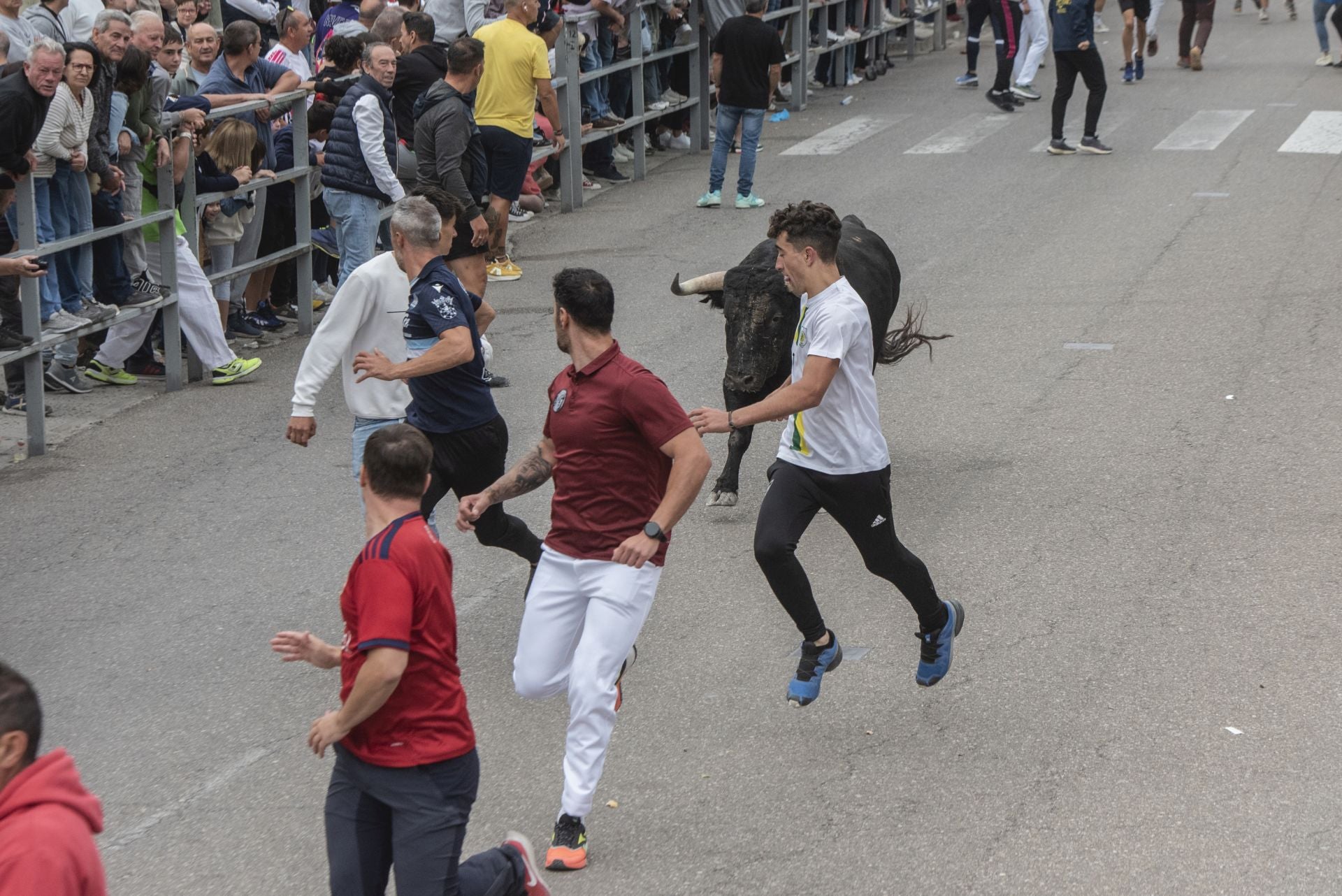Fotos del tramo urbano del primer encierro de Cuéllar