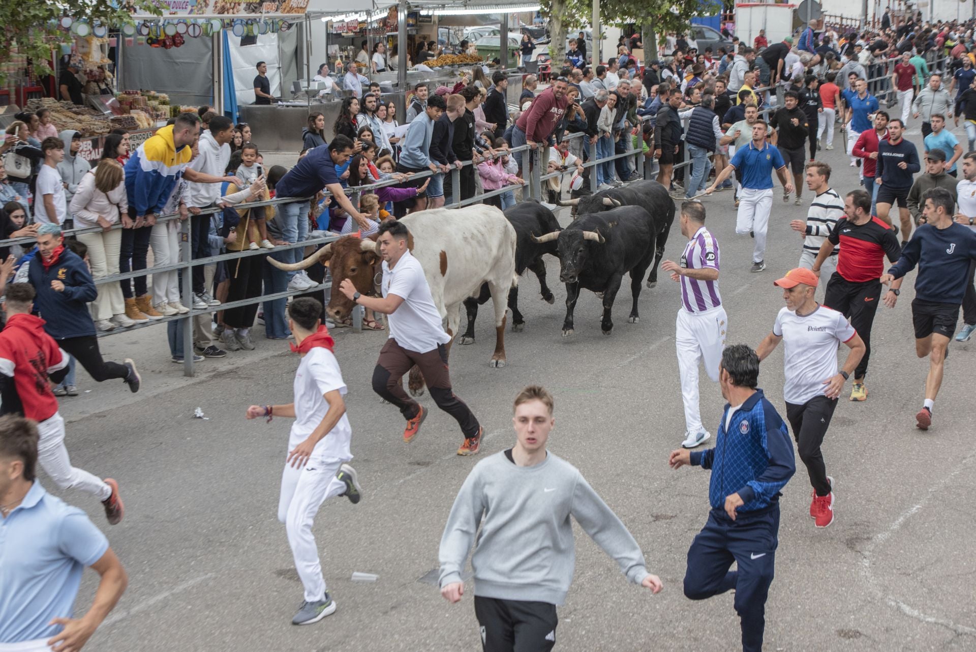 Fotos del tramo urbano del primer encierro de Cuéllar
