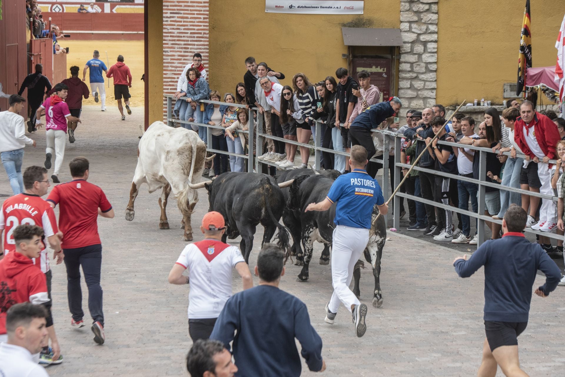 Fotos del tramo urbano del primer encierro de Cuéllar