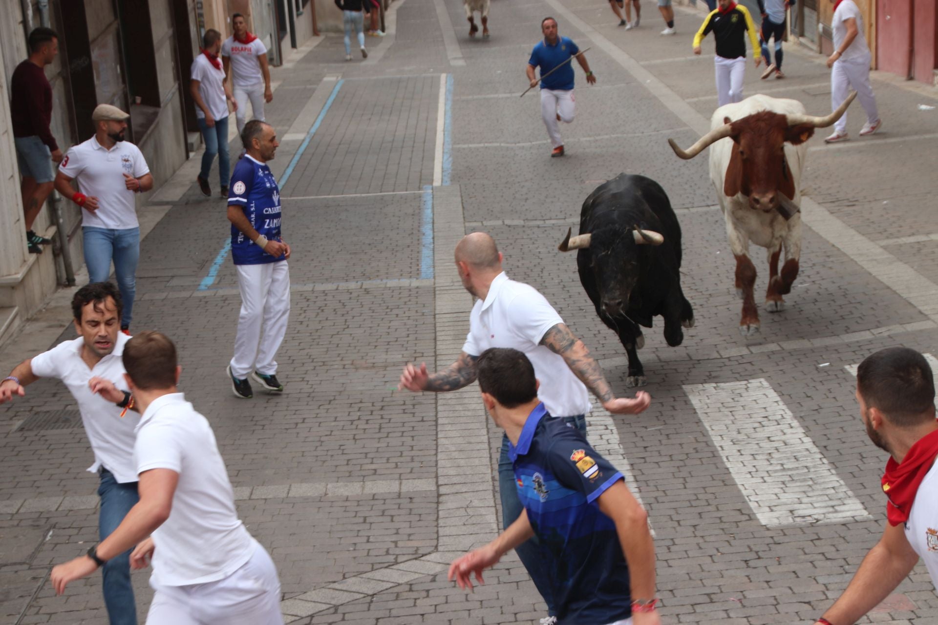 Fotos del tramo urbano del primer encierro de Cuéllar