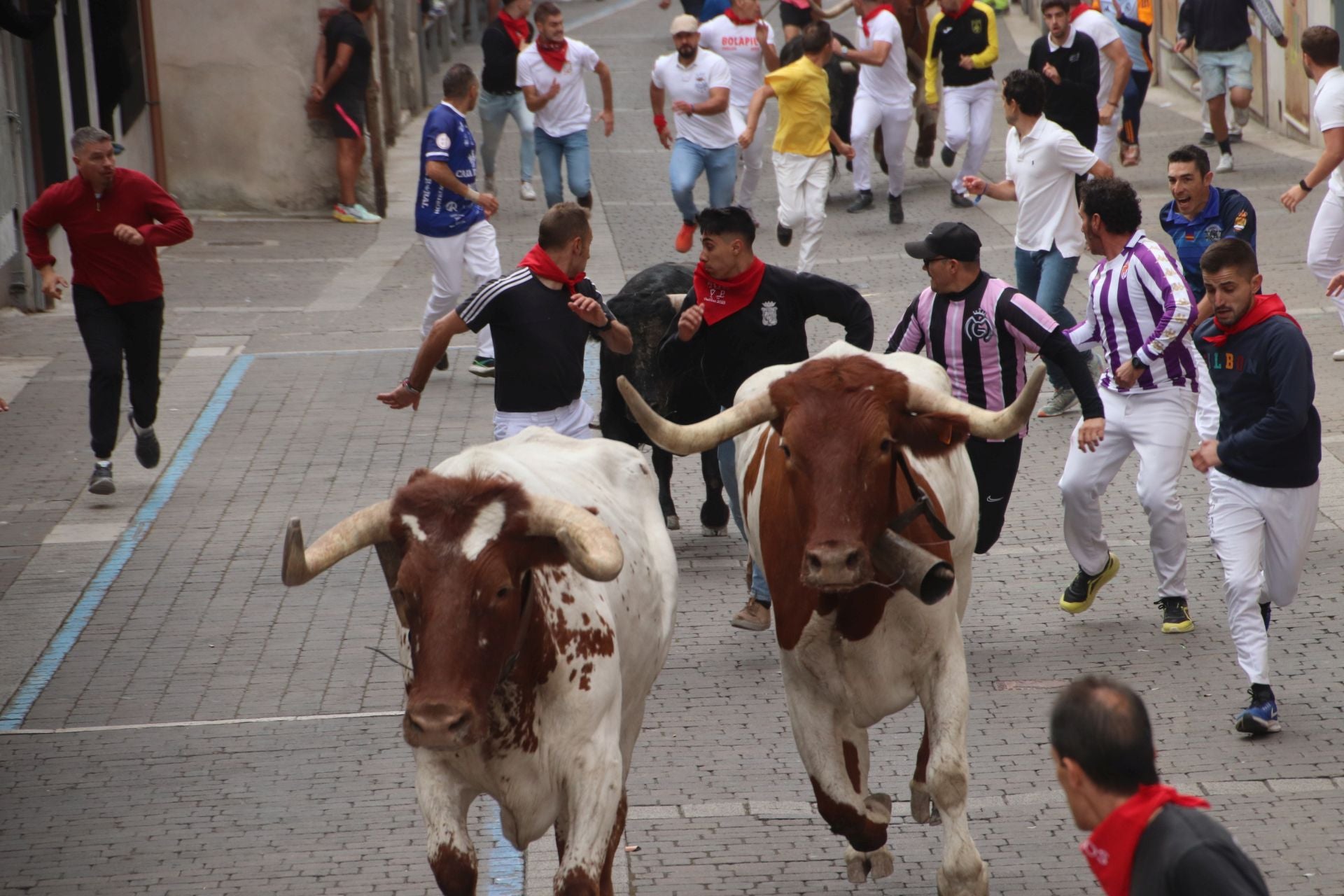 Fotos del tramo urbano del primer encierro de Cuéllar