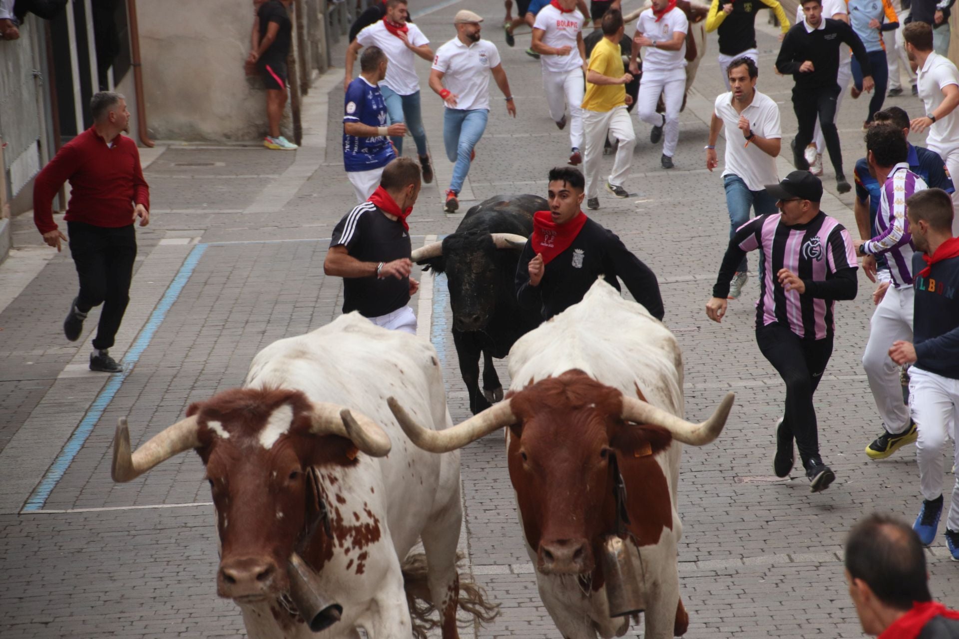 Fotos del tramo urbano del primer encierro de Cuéllar