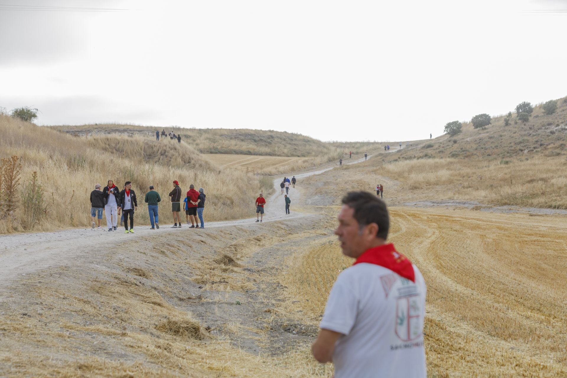 Fotos del tramo por el campo del primer encierro de Cuéllar