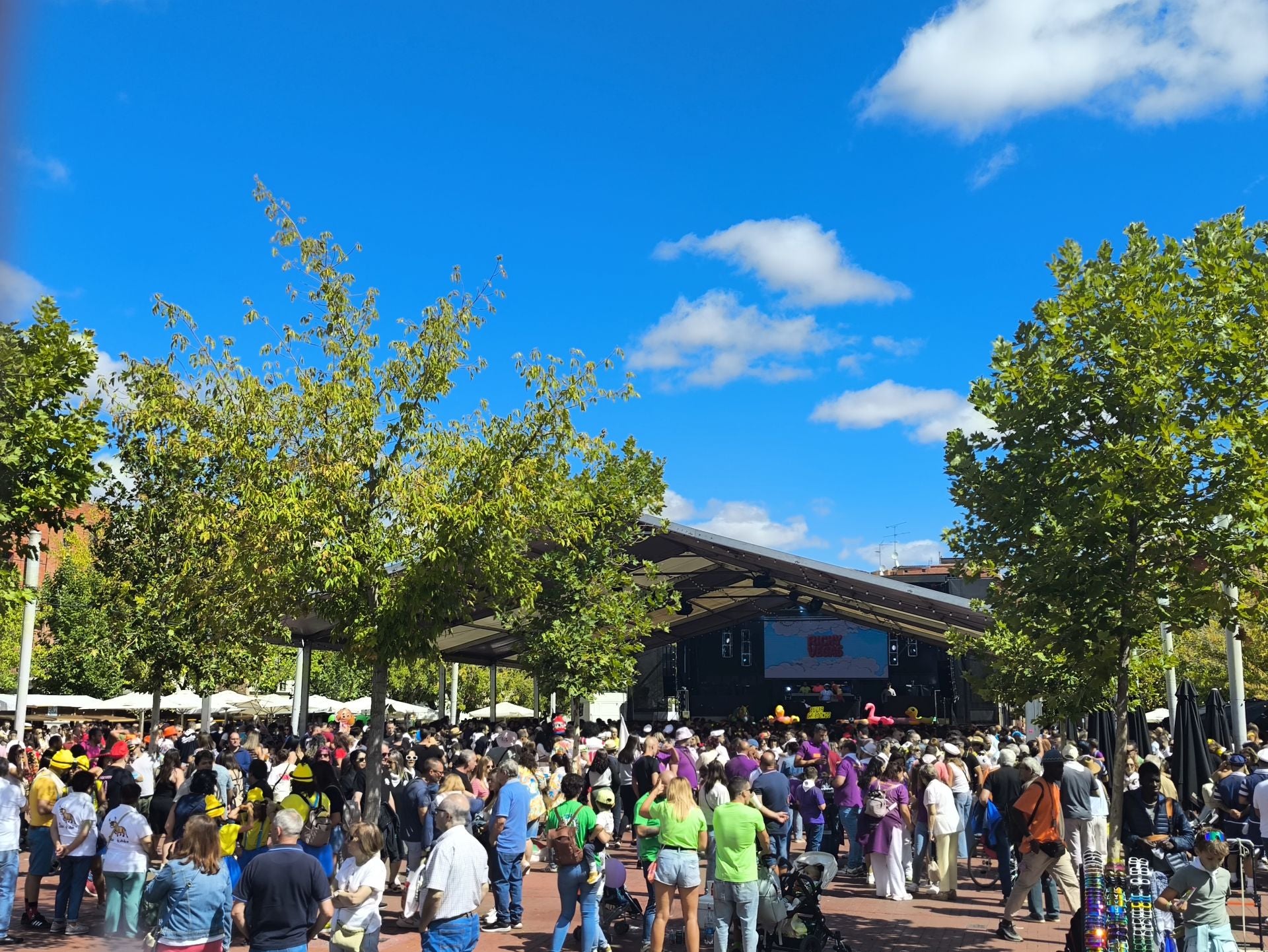 Las imágenes de la colocación de la bandera en Medina del Campo